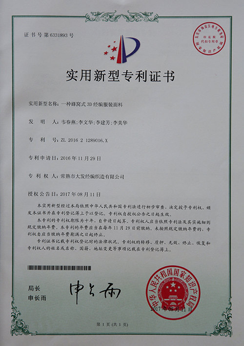 实用专利7